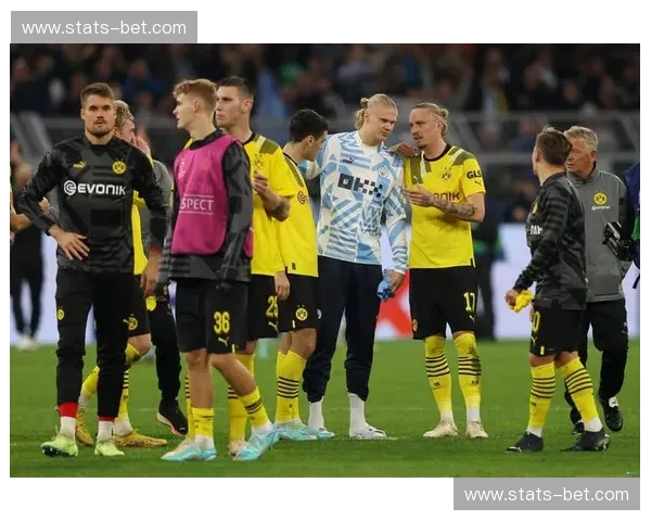 金色的风暴与蓝白的意志：多特vs赫塔，一场关于信仰与征服的绿茵交响诗